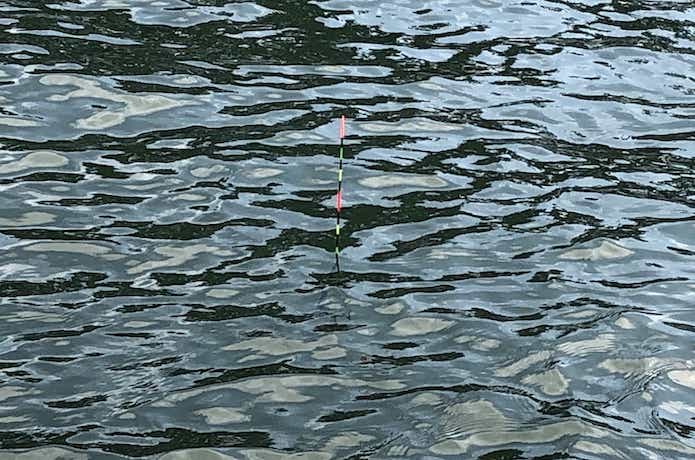 エビ撒き釣りの画像