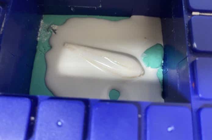 石膏