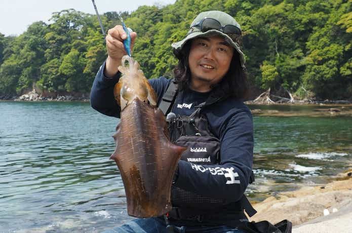 夏エギング　おすすめ　エギ王LIVE