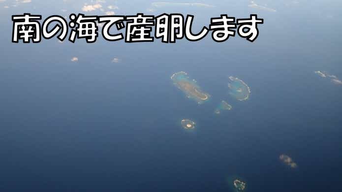 オオウナギ　散乱場所