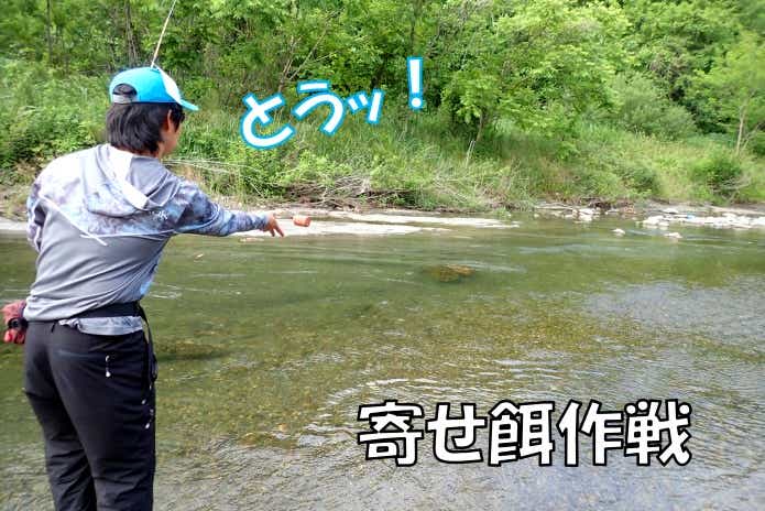 オイカワ 釣り