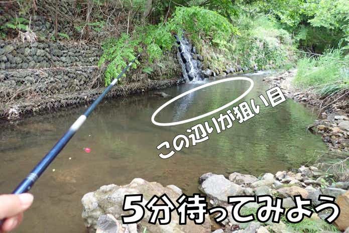 カワムツ　エサ釣り