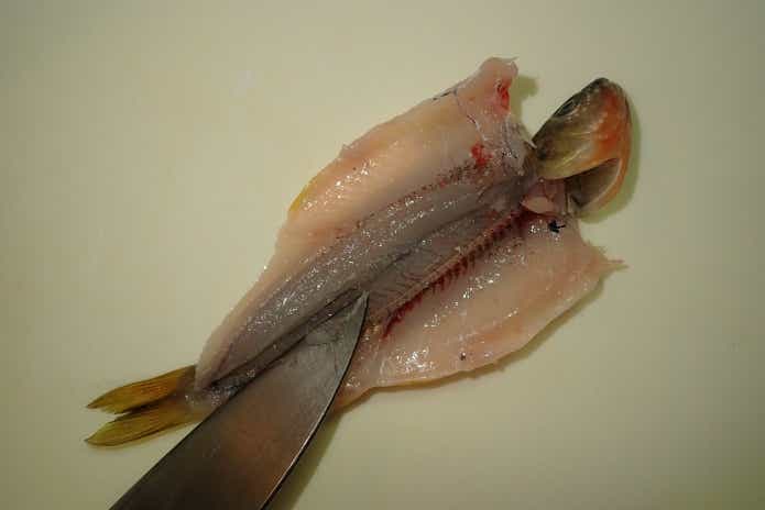 カワムツ　腹開き