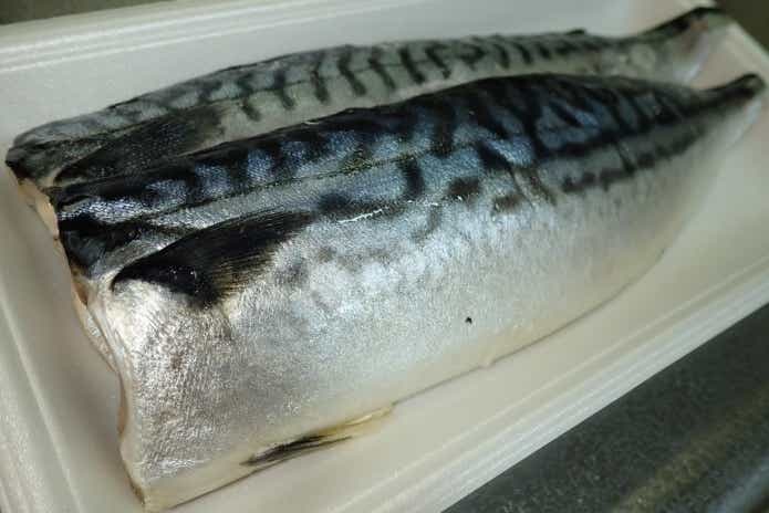 オオウナギ釣り　餌