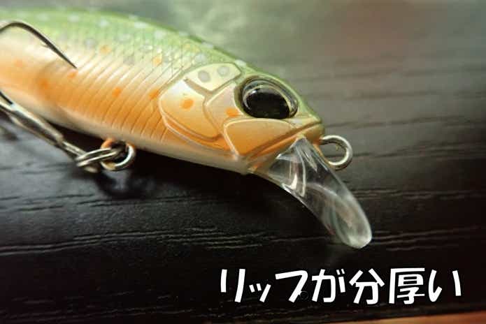 リュウキ　リップ