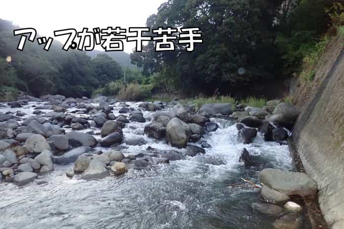 リュウキ　弱点