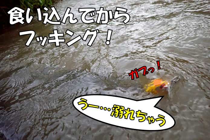 ジッターバグ　バイト