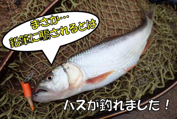鉛筆自作ルアー　実釣