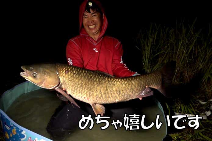 草魚　ソウギョ