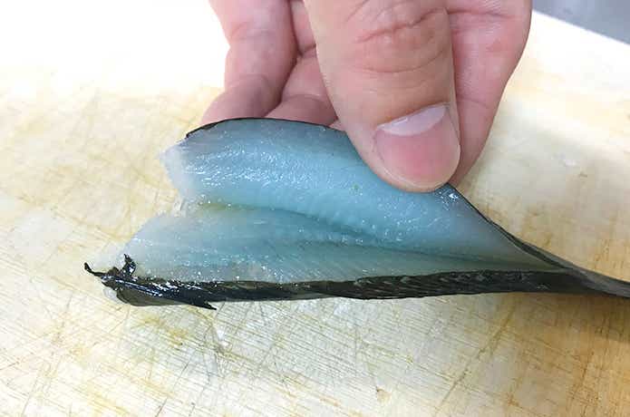 アナハゼの青い刺身