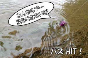 自作虫ルアー　バス