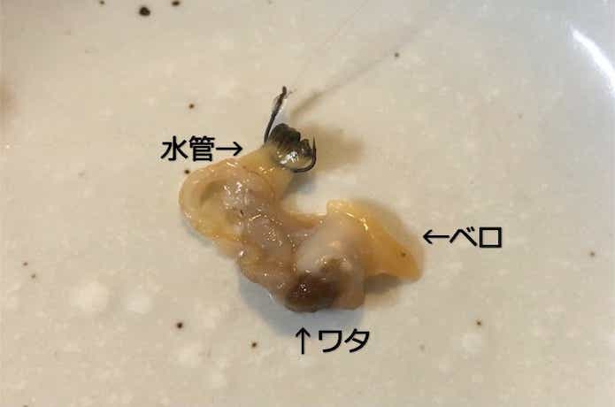 アサリの画像