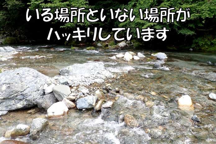 カジカ 生息地