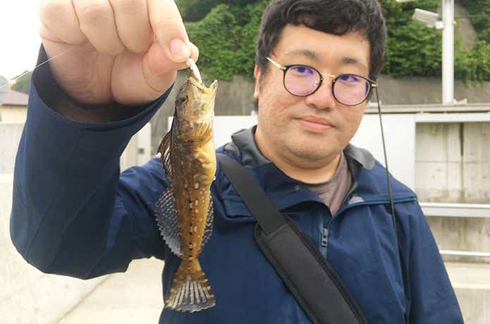 アナハゼのルアー釣り