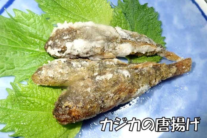 カジカ 唐揚げ