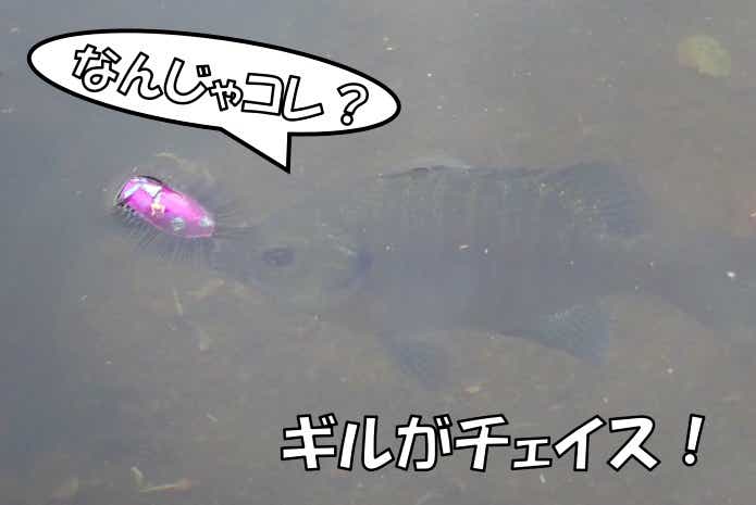 虫ルアー　ギル