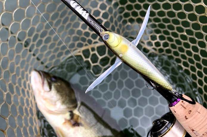 ディスタイルのレゼルブ釣果