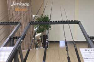 ジャクソン　ロッド
