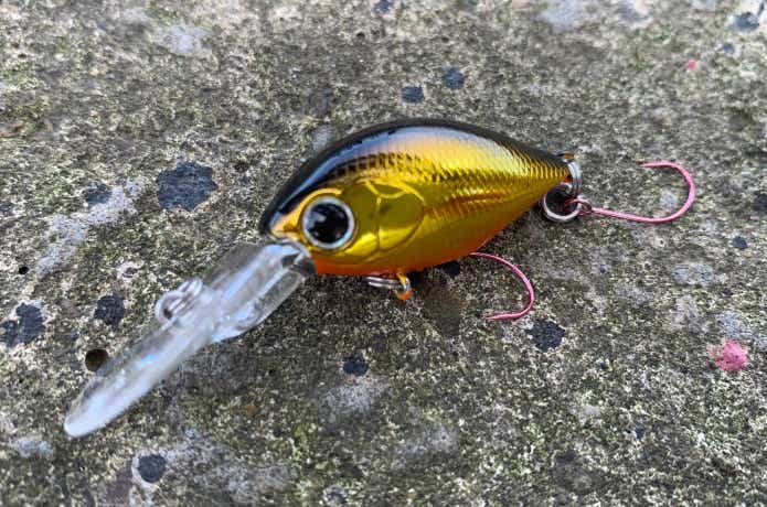 ハゼクラ超入門】ハゼのルアー釣りを超わかりやすく元釣具屋が
