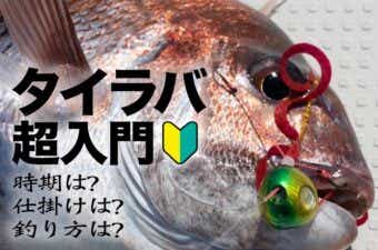 【タイラバ超入門】仕掛け・釣れる時期・釣り方を解説
