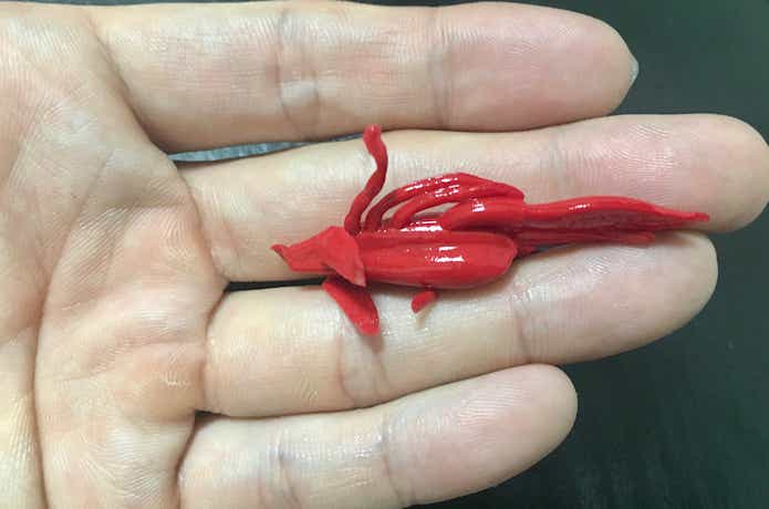 ガルプ　クラビー