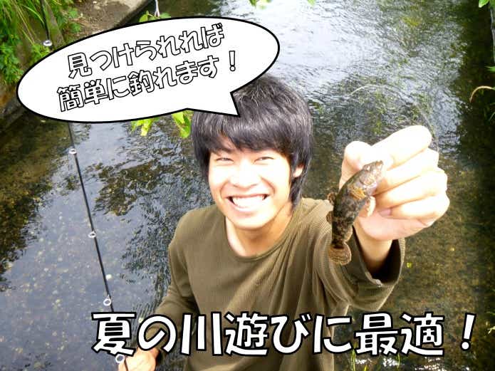 ドンコ釣り