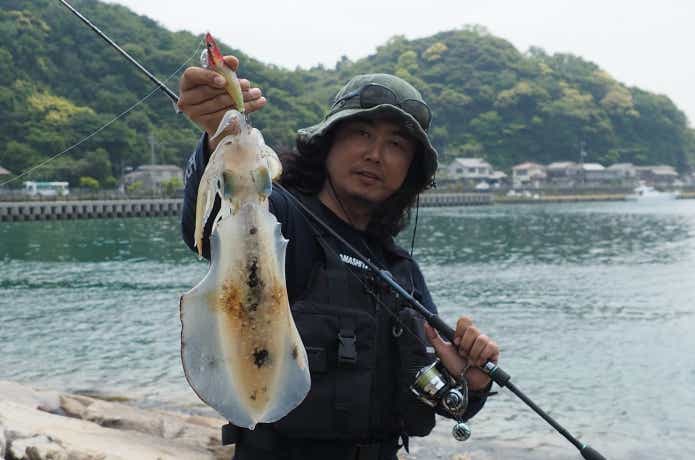 夏エギ
