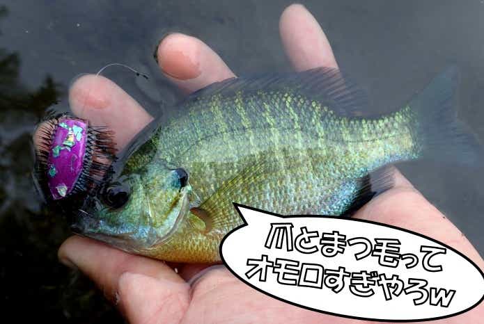 自作虫ルアー　ギル