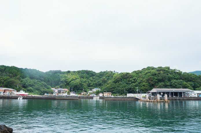 豆アジ　漁港