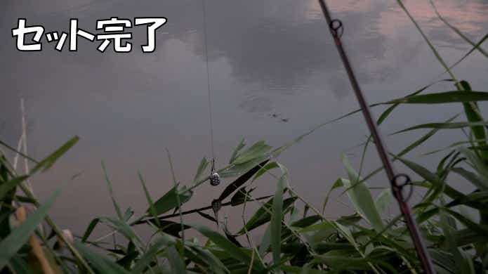 草魚　釣り