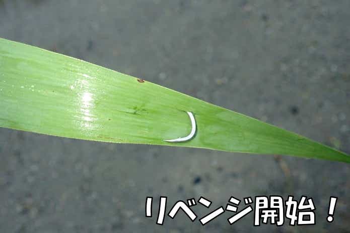 草針仕掛け