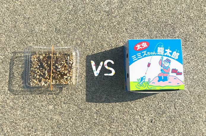 青イソメとミミズの対決