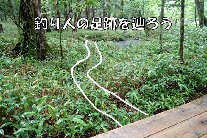 湯川】真夏の奥日光で楽しむブルックトラウト（カワマス）釣り