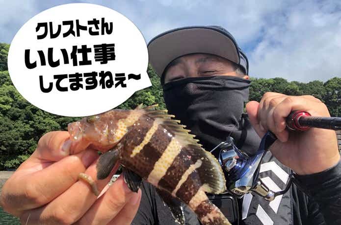 20クレストLTの画像