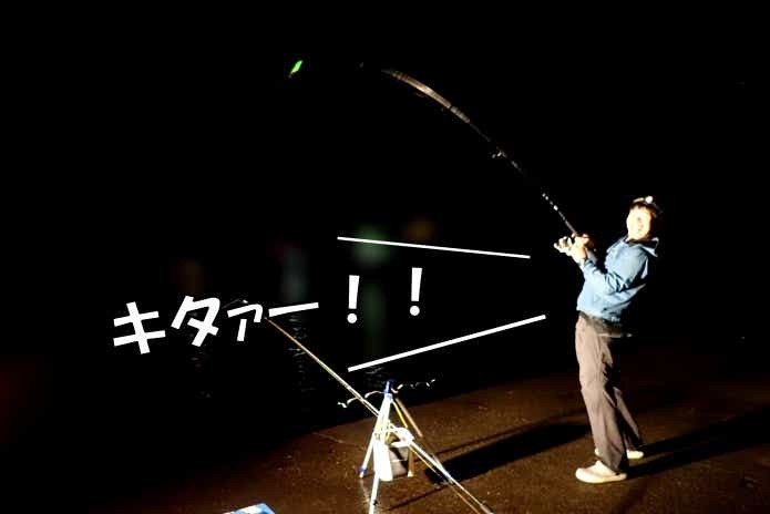 ウチワザメ　釣り