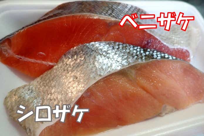 ベニザケとシロザケ