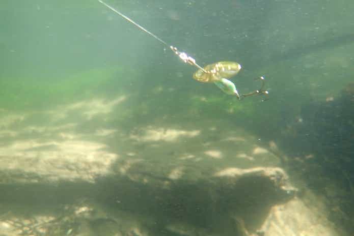 湯川】真夏の奥日光で楽しむブルックトラウト（カワマス）釣り！入渓地点やオススメルアーをご紹介！ | TSURI HACK[釣りハック]