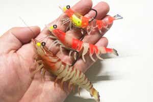 リアルなワーム