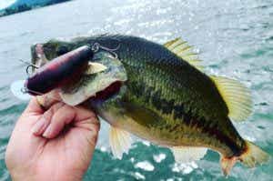 河口湖のバス釣りポイント