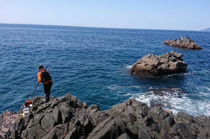 グレ釣りの画像