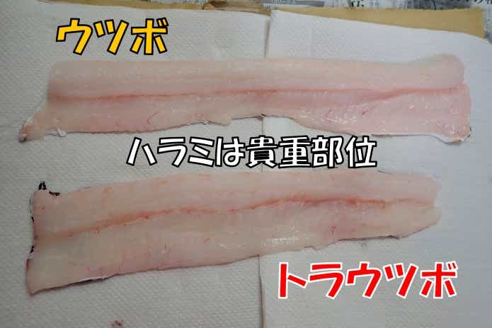 ウツボのハラミ