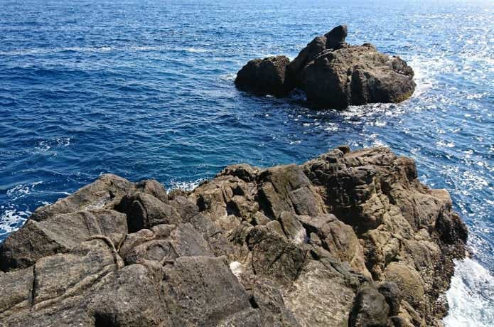 グレ釣りの画像