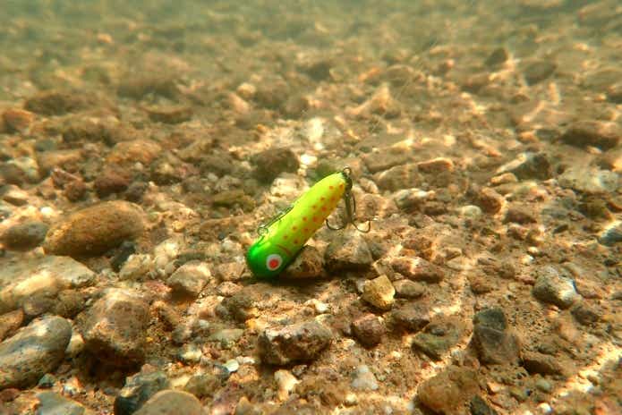 ボトムノックスイマー　水中