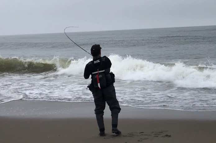 マゴチ釣りの画像
