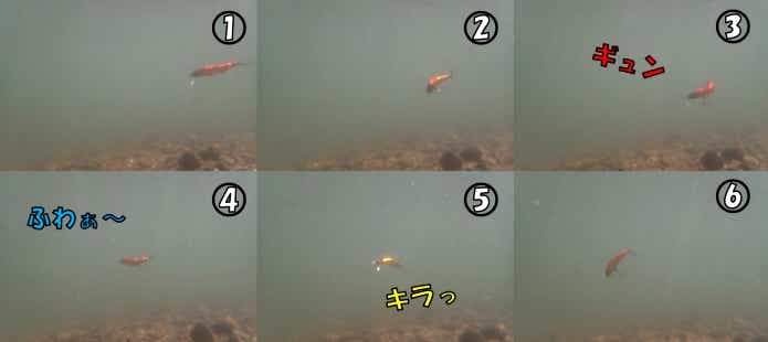 ドクターミノージョイント　トゥイッチ