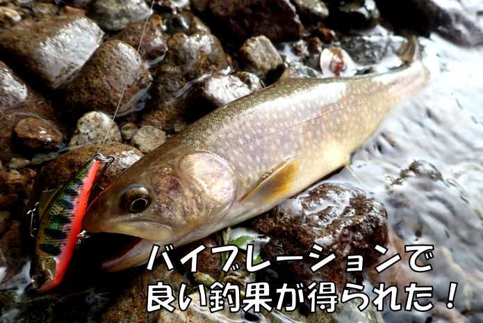 リュウキ バイブ