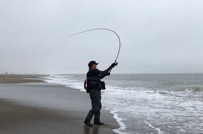 マゴチ釣りの画像