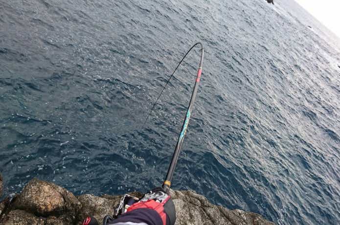 グレ釣りの画像