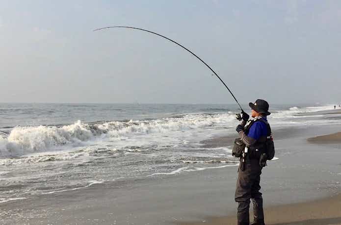 マゴチ釣りの画像