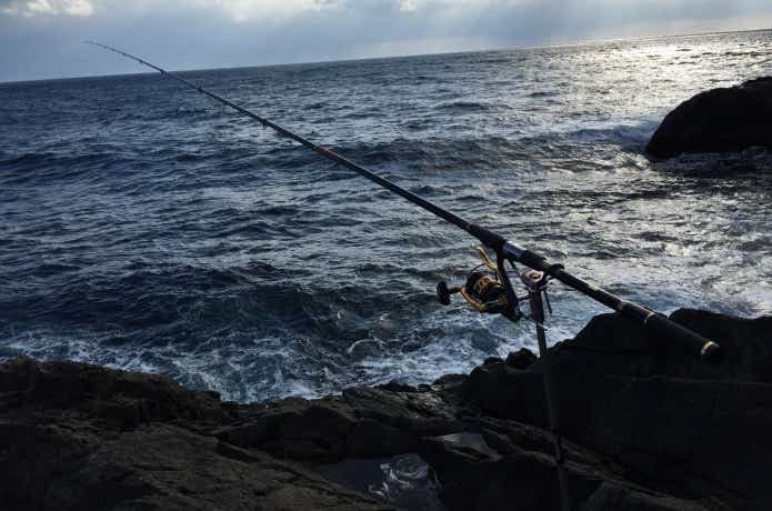 グレ釣りの画像